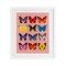 Stupell Industries Butterfly Species on Pink Framed Print Under Glass, design by LISH Creative